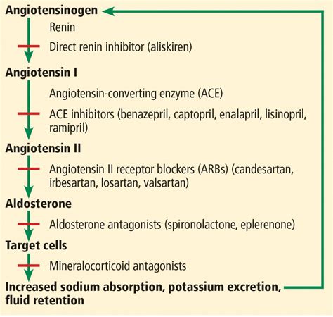 taking arbs requires blood tests how often for renal impact|ACE inhibitors and ARBs: Managing potassium and renal function.